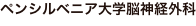 shapeimage_1_link_0
